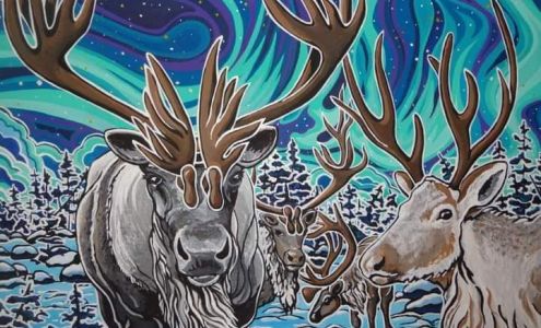 Eagle Photo Studio 263 Memorial Dr, Clarenville Newfoundland and Labrador A5A 1R5