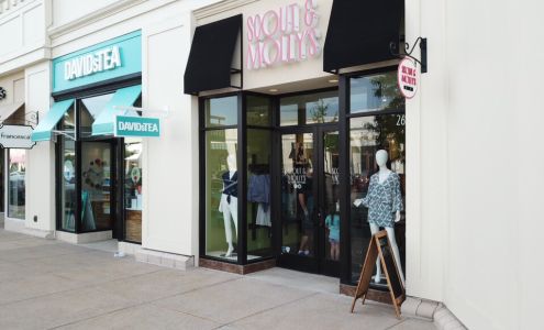 Scout & Molly's Evergreen Walk