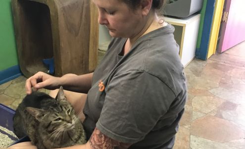 Iroquois County Animal Rescue Iroquois