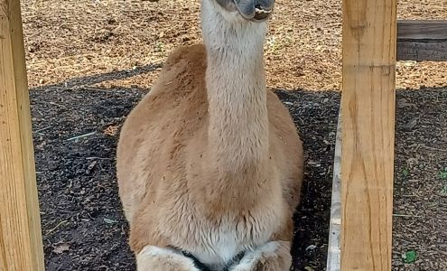 New Britain Youth Museum At Hungerford Park Berlin