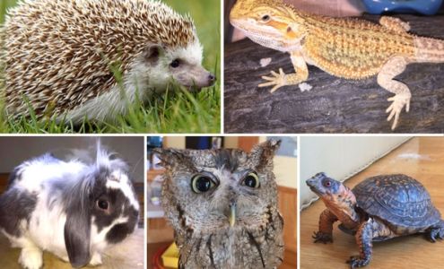 Darien Nature Center