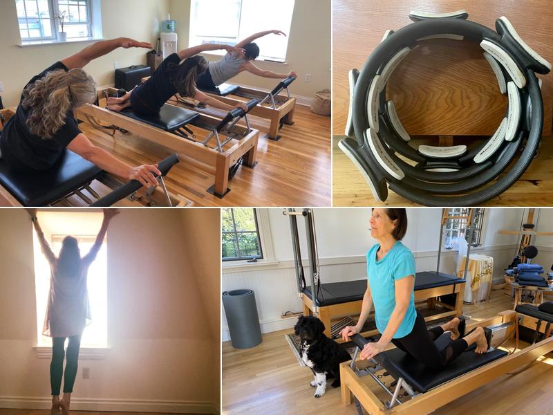 Movement Design and Wellness