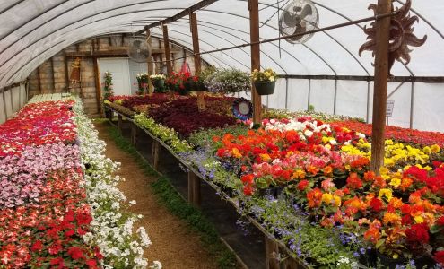 Sullivan's Flowerland