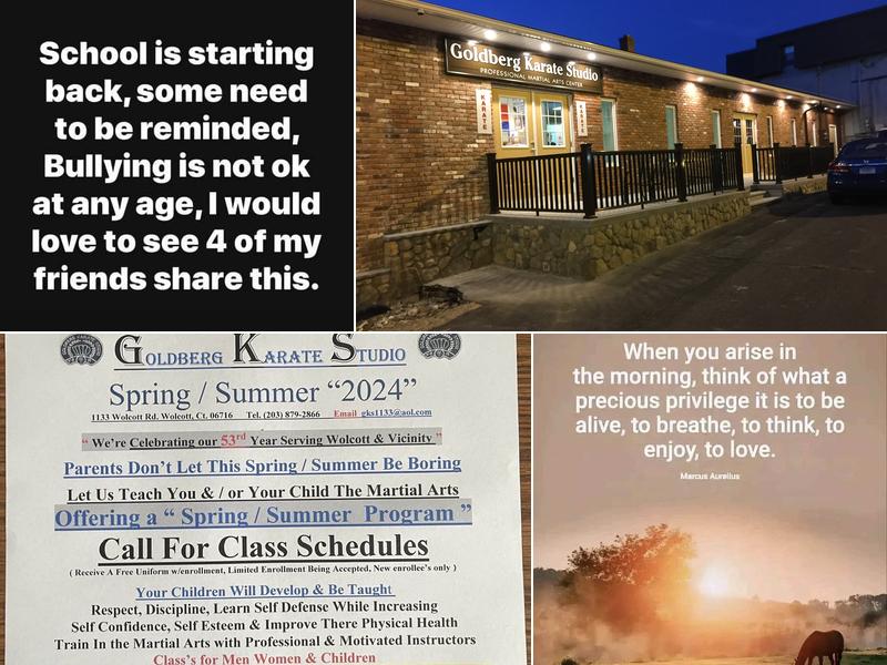 Goldberg Karate Studio