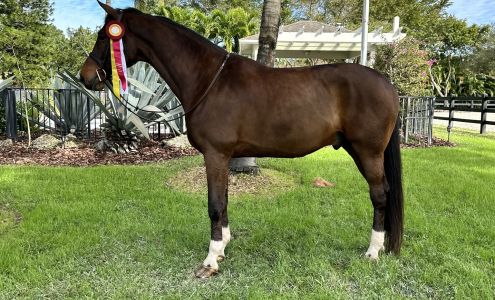 JT Farm 1125 NY-35, South Salem New York 10590