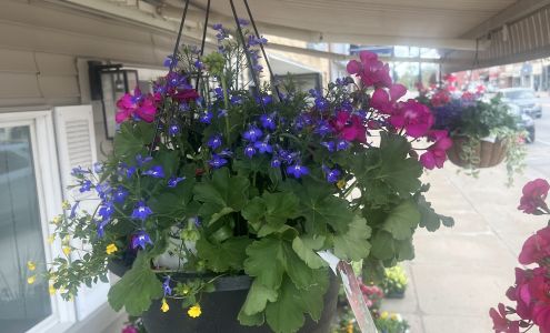 Heirloom Blooms Farm 612 G Ave, Grundy Center Iowa 50638