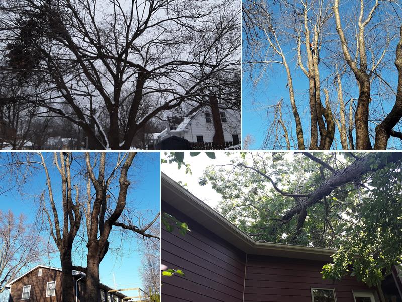 Nature's Best Tree Service