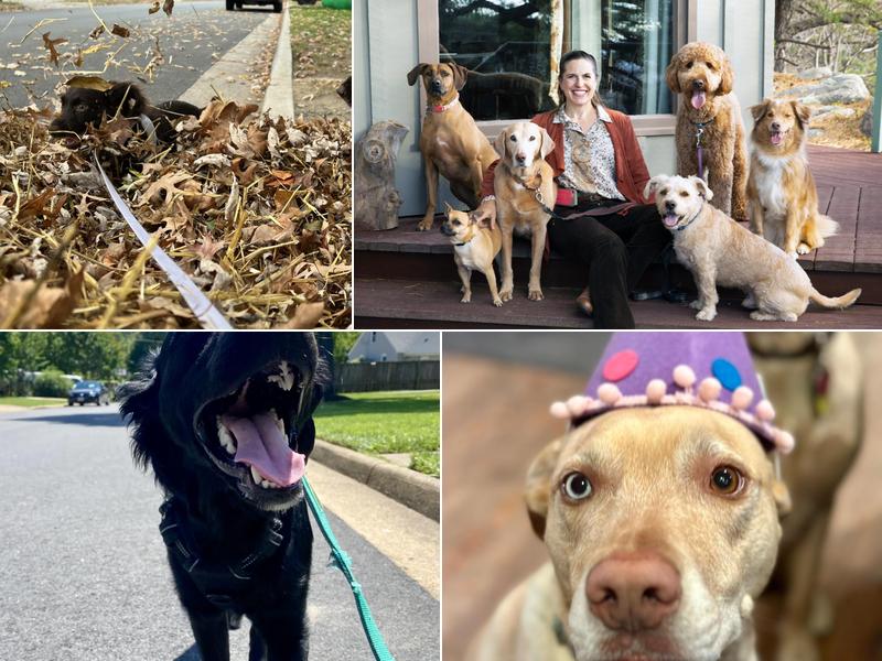 Paw Prints Pet Services