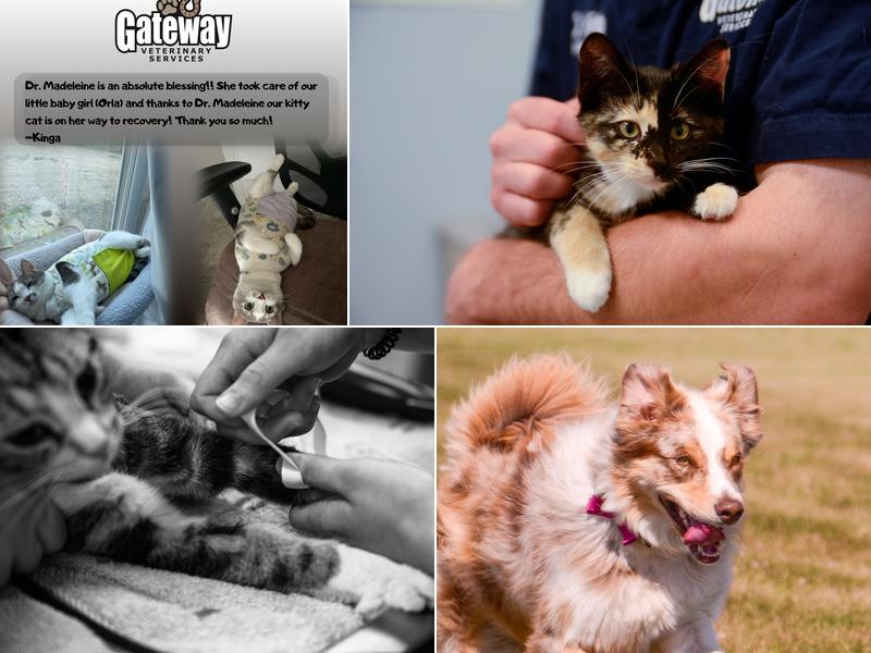 Gateway Veterinary Services