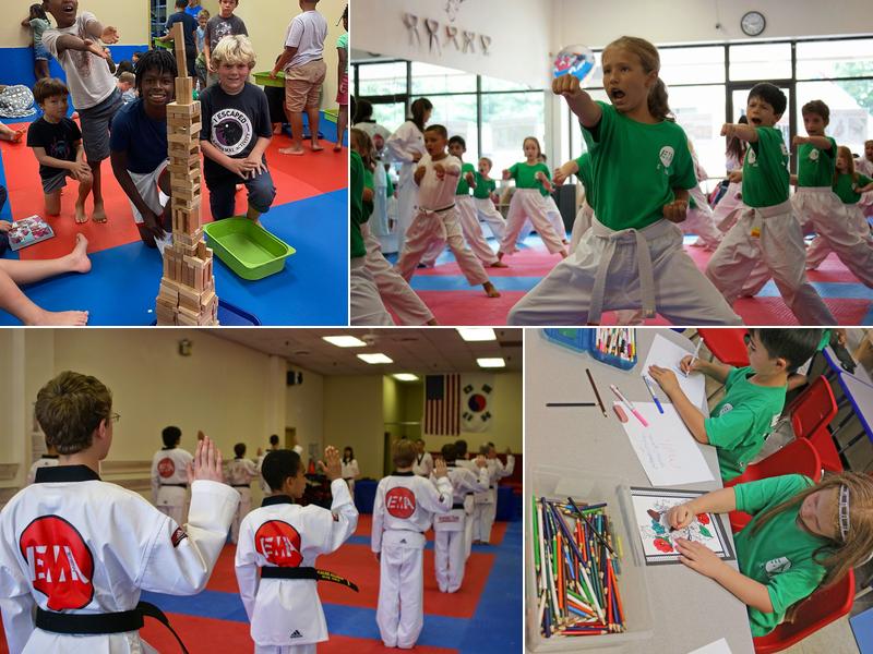 Elite M.A. Center - Springfield