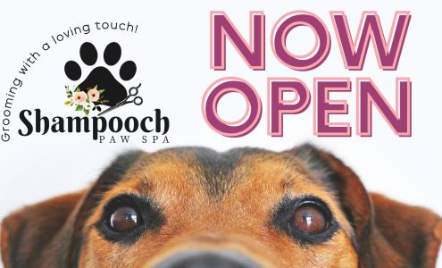Shampooch Paw Spa