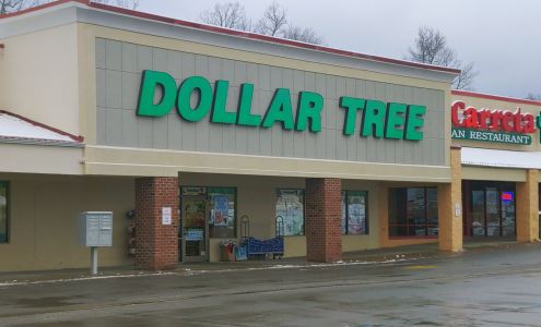 Dollar Tree Summersville