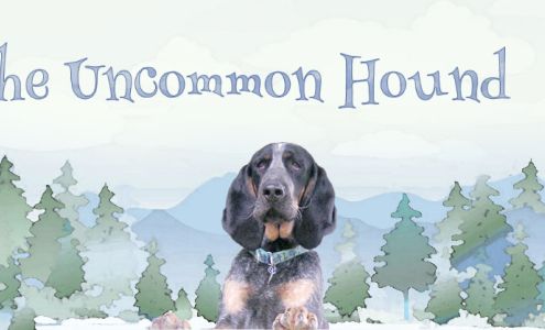 The Uncommon Hound Eddington