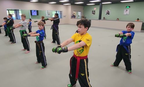 Premier Martial Arts Dover