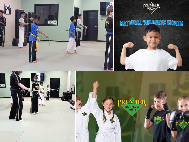 Premier Martial Arts Glen Mills