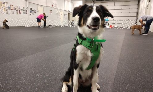 Wilmington Kennel Club Inc