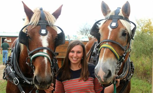 Four Green Fields Farm Rodney