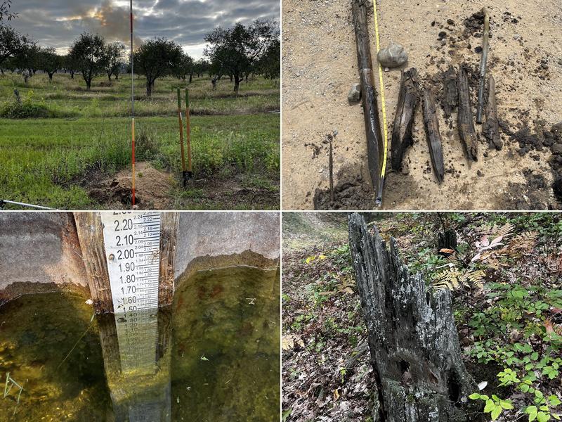 Bob Mitchell & Associates