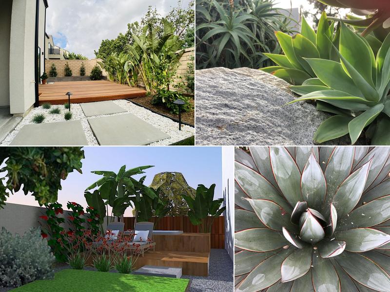 Stepping Stone Landscape Design