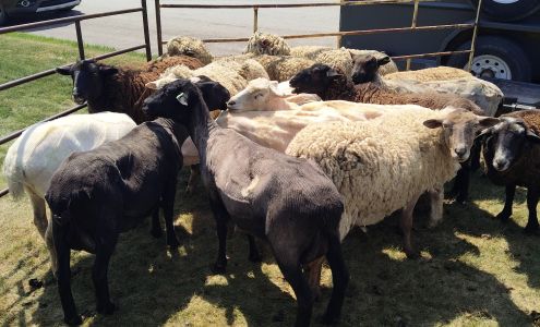 Biggar Community Hall Biggar