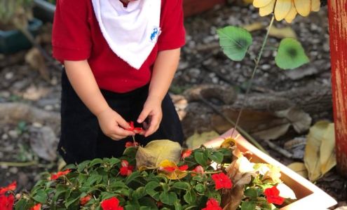 LITTLE WONDERS LEARNING ACADEMY & PRESCHOOL