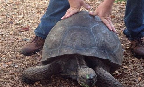 Old Cutler Academy Learning