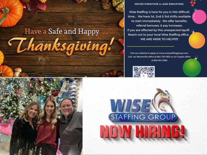 Wise Staffing