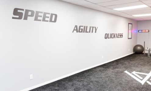 Legacy Athletics Vertical Studio Tampa