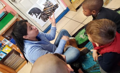 Alphabet Learning Center