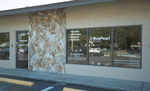 BluePearl Pet Surgery