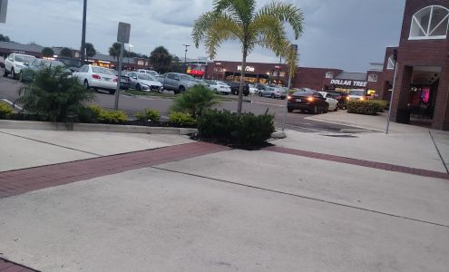 University Collections