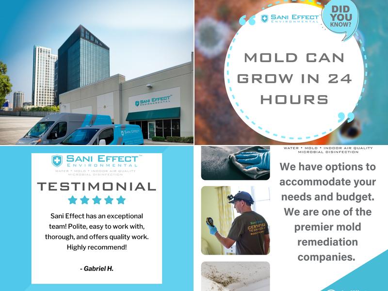 Sani Effect Environmental