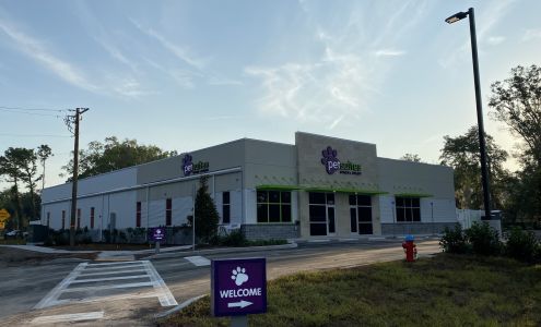 PetSuites Carrollwood