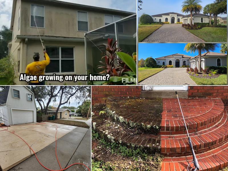 Pink Flamingo Power Wash