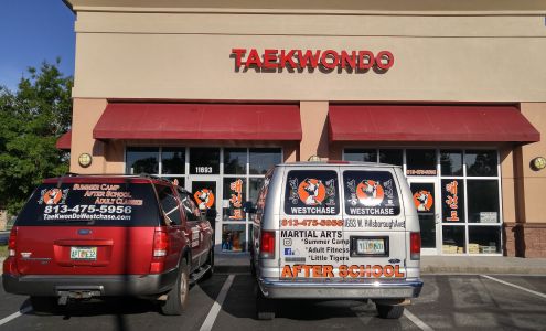Traditional TaeKwon-Do Center of Westchase