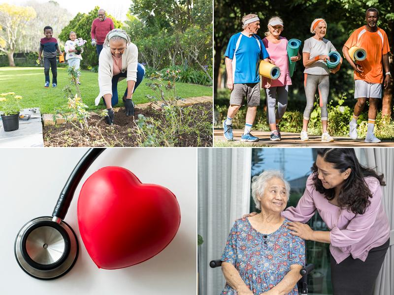 Safeharbor Healthcare Services