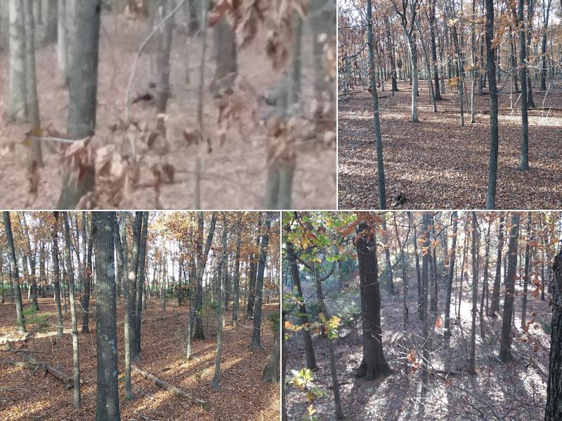 Mcclanahan Construction Company