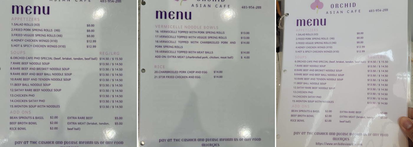 Orchid Asian Cafe Menu