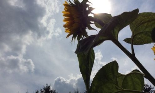 nook & cranny farm Brooktondale