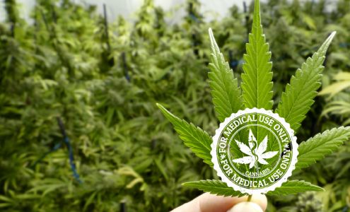 Key West Cannabis Clinic