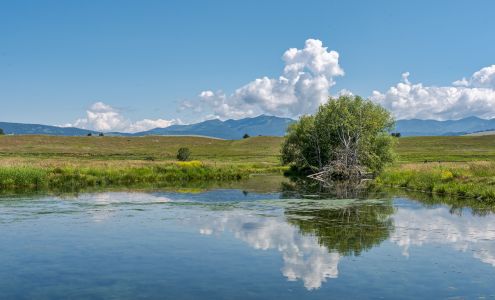 Jess Priske - Western Montana Realtor