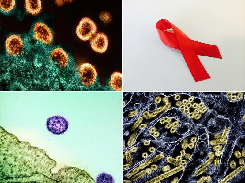 Laboratory-Allergic Diseases