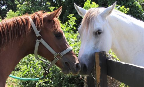 Intentions Ranch Wellness Center in Nature Southwest Ranches
