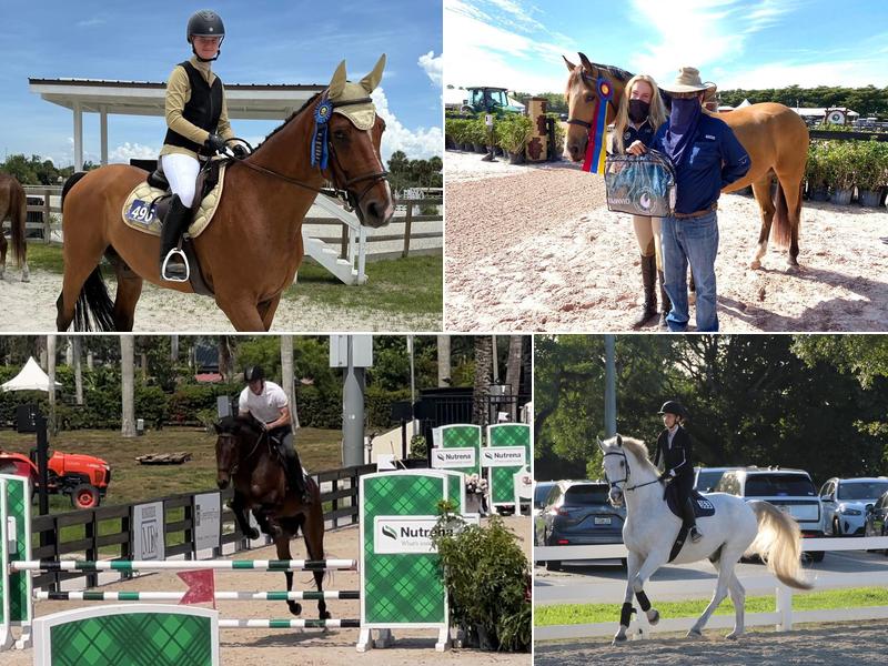 World Class Equestrian Center