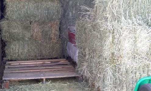 Competition Farms Southwest Ranches