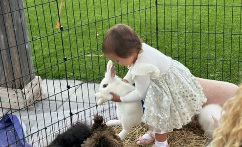 Learn & Smile Preschool