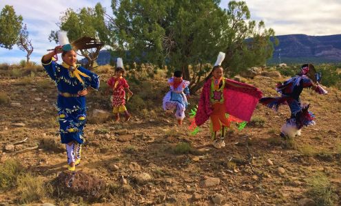 Navajo Paintbrush, LLC Chinle