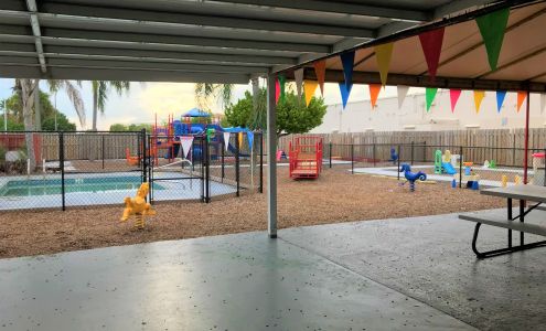 American Eagle Academy