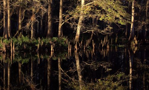 Aquatic Systems & Resources, Inc Palm City