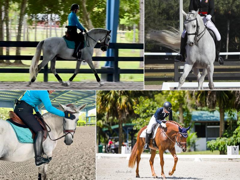 The Art of Riding, LLC